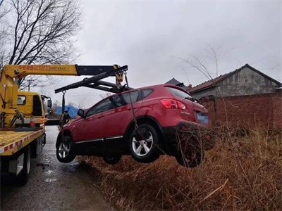 巴里坤楚雄道路救援